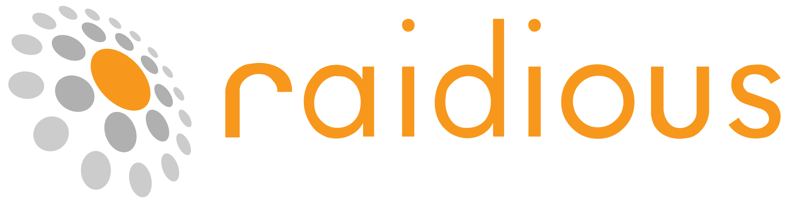 Raidious-Logo