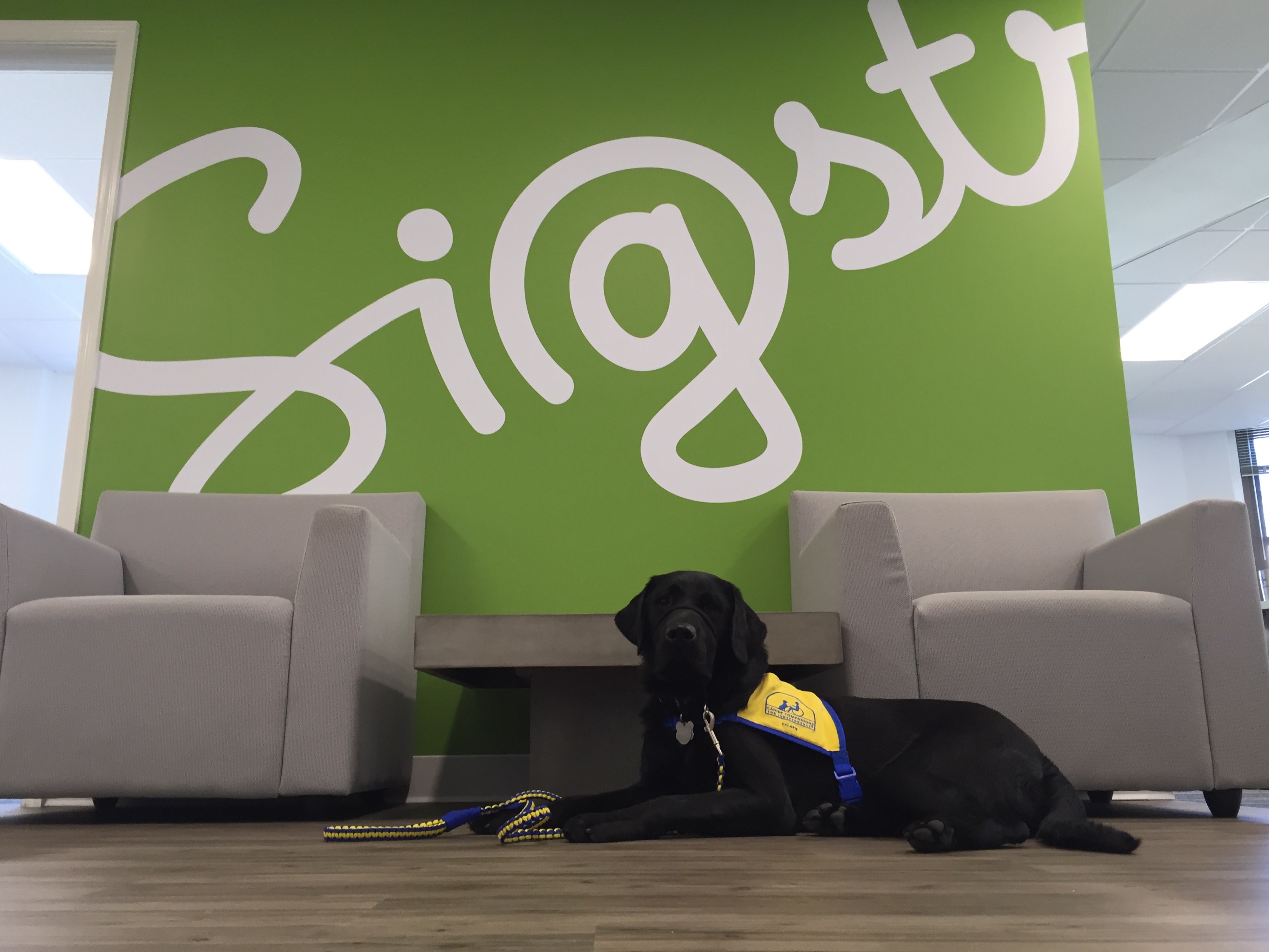 Email signature editor Sigstr office visitor