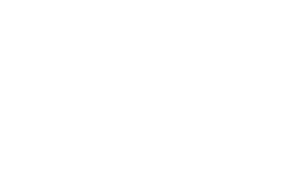 white transparent google chrome logo